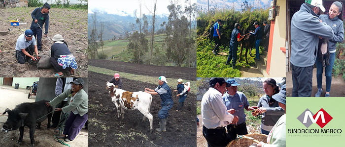 Asistencia Técncia