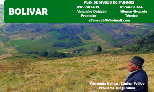 PMP Bolivar