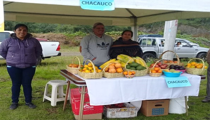 Cultivo de Fresas